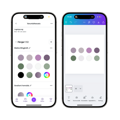 Två telefoner som visar varumärkes ärger i Canva. Och en telefon som visar cirklar med olika färger. 